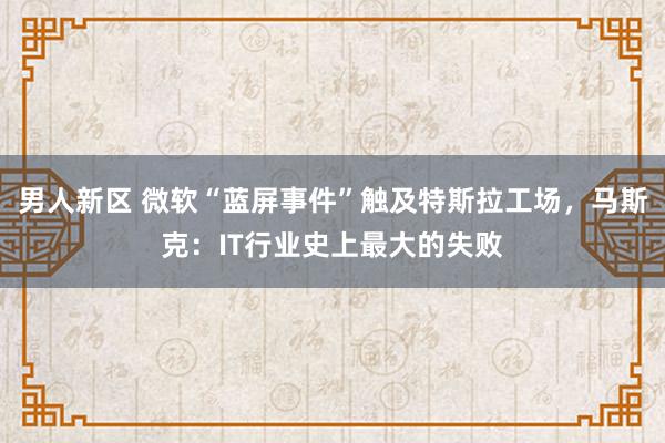 男人新区 微软“蓝屏事件”触及特斯拉工场，马斯克：IT行业史上最大的失败