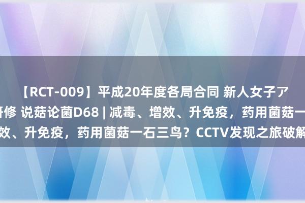 【RCT-009】平成20年度各局合同 新人女子アナウンサー入社前拷問研修 说菇论菌D68 | 减毒、增效、升免疫，药用菌菇一石三鸟？CCTV发现之旅破解真相