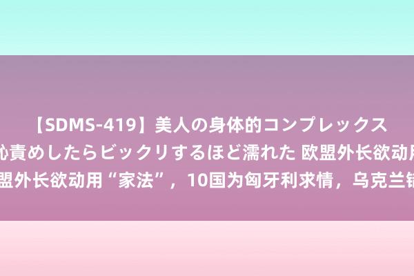 【SDMS-419】美人の身体的コンプレックスを、じっくり弄って羞恥責めしたらビックリするほど濡れた 欧盟外长欲动用“家法”，10国为匈牙利求情，乌克兰错失一大机会