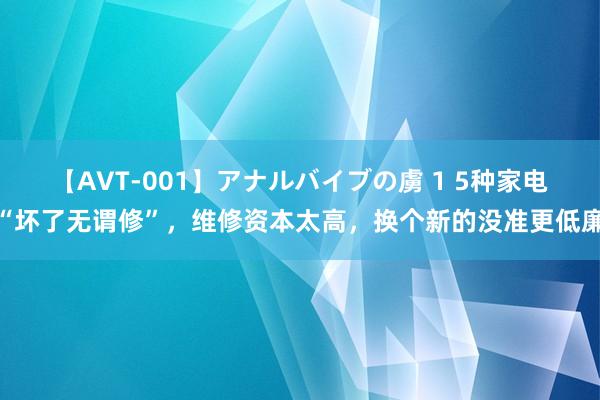 【AVT-001】アナルバイブの虜 1 5种家电“坏了无谓修”，维修资本太高，换个新的没准更低廉