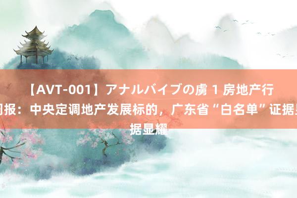 【AVT-001】アナルバイブの虜 1 房地产行业周报：中央定调地产发展标的，广东省“白名单”证据显耀