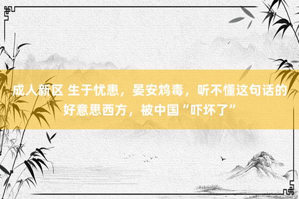 成人新区 生于忧患，晏安鸩毒，听不懂这句话的好意思西方，被中国“吓坏了”