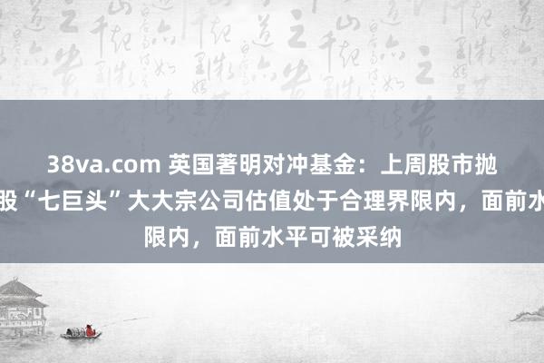 38va.com 英国著明对冲基金：上周股市抛售后好意思股“七巨头”大大宗公司估值处于合理界限内，面前水平可被采纳