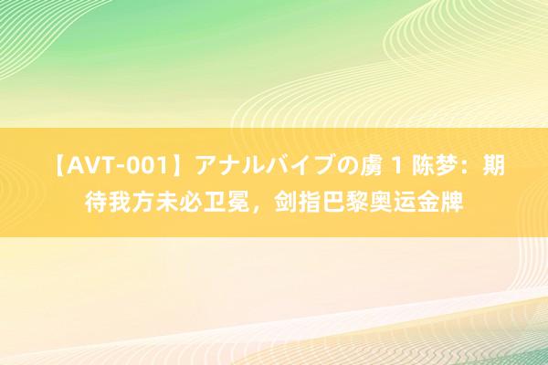 【AVT-001】アナルバイブの虜 1 陈梦：期待我方未必卫冕，剑指巴黎奥运金牌