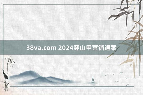 38va.com 2024穿山甲营销通案