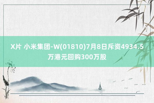 X片 小米集团-W(01810)7月8日斥资4934.5万港元回购300万股