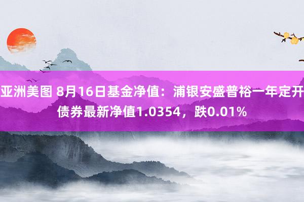 亚洲美图 8月16日基金净值：浦银安盛普裕一年定开债券最新净值1.0354，跌0.01%