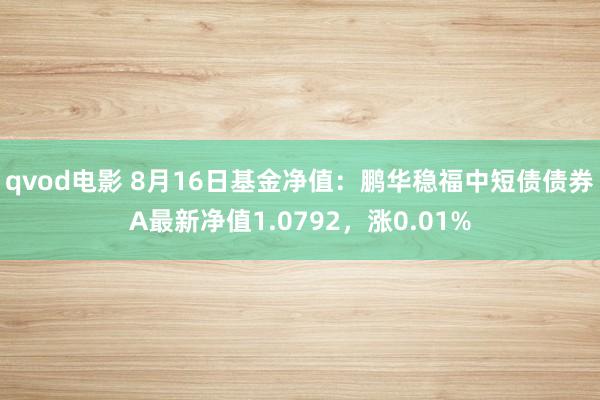 qvod电影 8月16日基金净值：鹏华稳福中短债债券A最新净值1.0792，涨0.01%