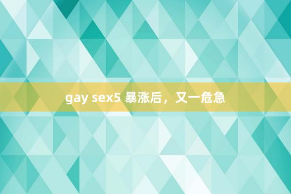 gay sex5 暴涨后，又一危急