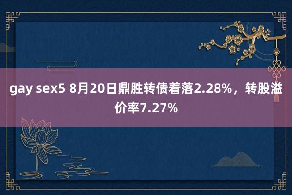 gay sex5 8月20日鼎胜转债着落2.28%，转股溢价率7.27%