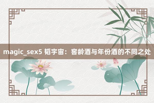 magic_sex5 韬宇宙：窖龄酒与年份酒的不同之处