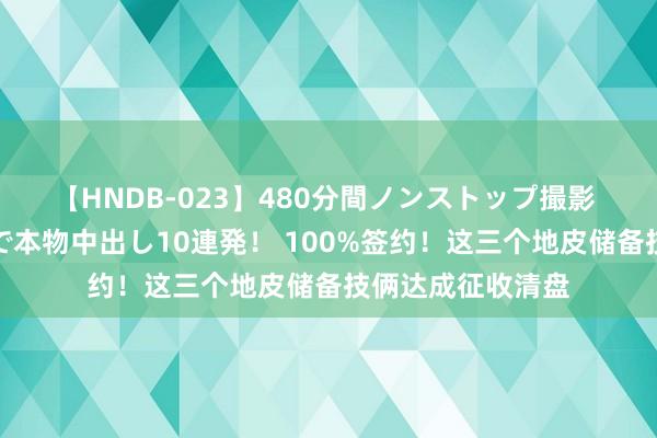 【HNDB-023】480分間ノンストップ撮影 ノーカット編集で本物中出し10連発！ 100%签约！这三个地皮储备技俩达成征收清盘