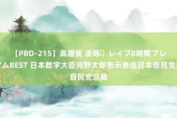 【PBD-215】高画質 凌辱・レイプ8時間プレミアムBEST 日本数字大臣河野太郎告示参选日本自民党总裁