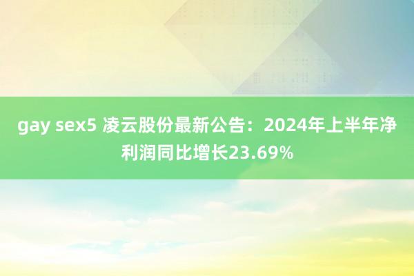 gay sex5 凌云股份最新公告：2024年上半年净利润同比增长23.69%