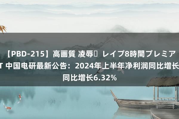 【PBD-215】高画質 凌辱・レイプ8時間プレミアムBEST 中国电研最新公告：2024年上半年净利润同比增长6.32%