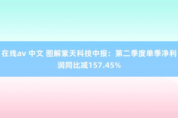 在线av 中文 图解紫天科技中报：第二季度单季净利润同比减157.45%