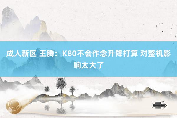 成人新区 王腾：K80不会作念升降打算 对整机影响太大了