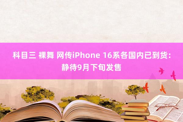 科目三 裸舞 网传iPhone 16系各国内已到货：静待9月下旬发售