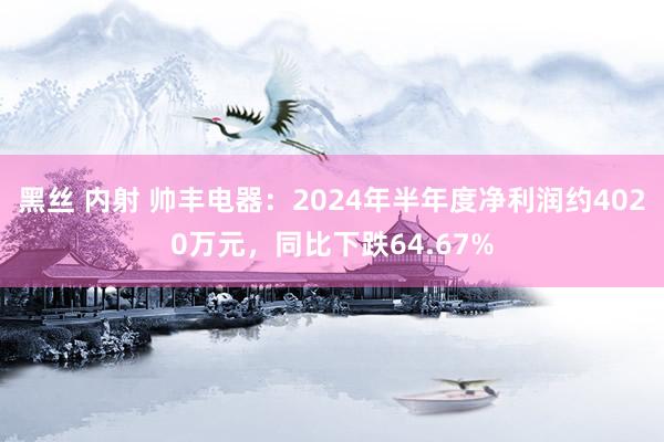 黑丝 内射 帅丰电器：2024年半年度净利润约4020万元，同比下跌64.67%