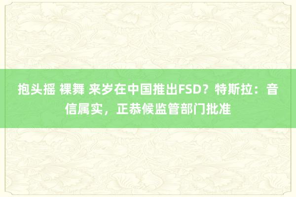 抱头摇 裸舞 来岁在中国推出FSD？特斯拉：音信属实，正恭候监管部门批准