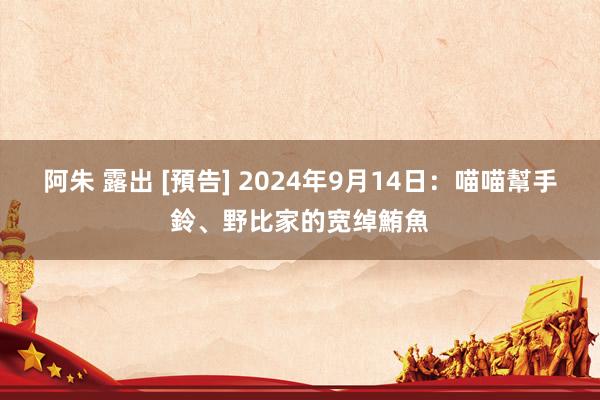 阿朱 露出 [預告] 2024年9月14日：喵喵幫手鈴、野比家的宽绰鮪魚