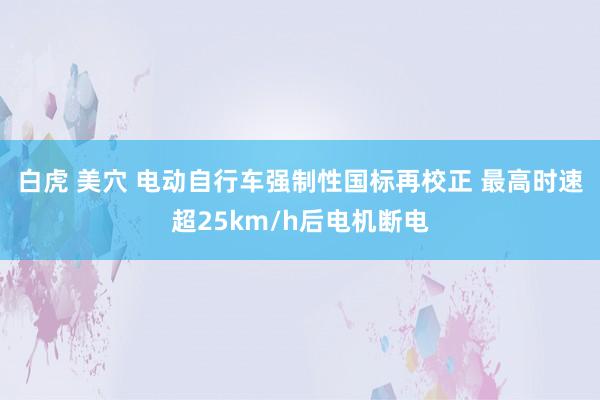 白虎 美穴 电动自行车强制性国标再校正 最高时速超25km/h后电机断电