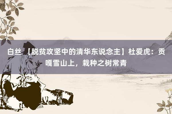 白丝 【脱贫攻坚中的清华东说念主】杜爱虎：贡嘎雪山上，栽种之树常青