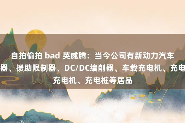 自拍偷拍 bad 英威腾：当今公司有新动力汽车电机限制器、援助限制器、DC/DC编削器、车载充电机、充电桩等居品