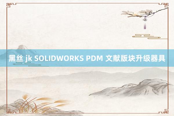 黑丝 jk SOLIDWORKS PDM 文献版块升级器具