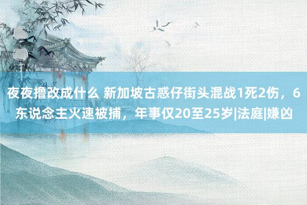 夜夜撸改成什么 新加坡古惑仔街头混战1死2伤，6东说念主火速被捕，年事仅20至25岁|法庭|嫌凶