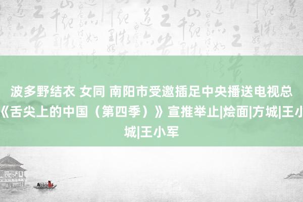 波多野结衣 女同 南阳市受邀插足中央播送电视总台《舌尖上的中国（第四季）》宣推举止|烩面|方城|王小军