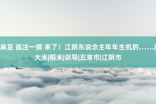 麻豆 孤注一掷 来了！江阴东说念主年年生机的……|大米|稻米|训导|五常市|江阴市